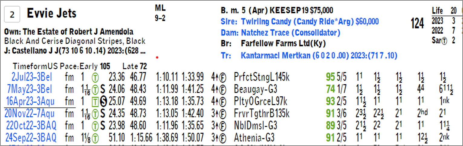 Handicapping 101_Determining Pace