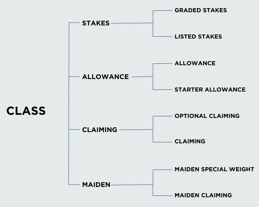Horse Racing Class Levels